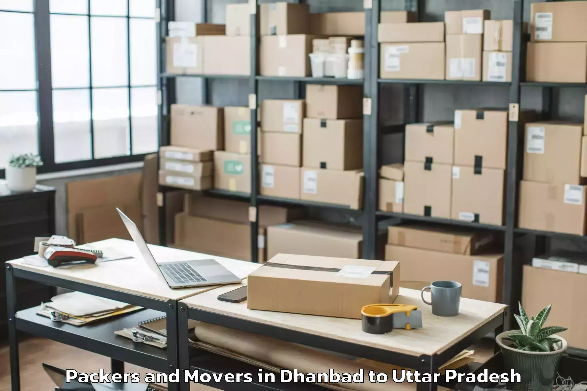 Professional Dhanbad to Kulpahar Packers And Movers